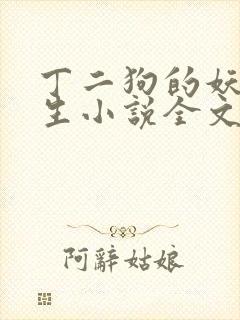 丁二狗的妖孽人生小说全文无删减封面