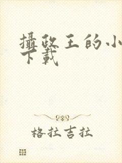 摄政王的小闲妻下载