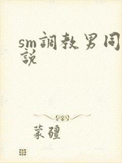 sm调教男同小说