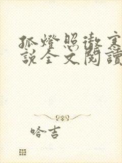 孤灯照彻寒夜小说全文阅读