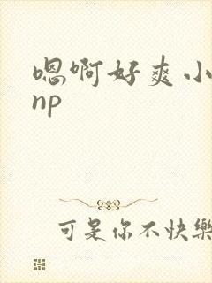 嗯啊好爽小骚货np封面
