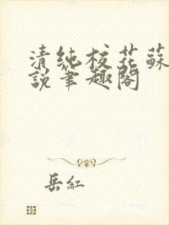 清纯校花苏软小说笔趣阁