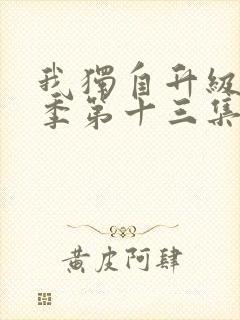 我独自升级第二季第十三集