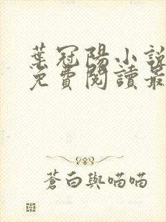 叶冠阳小说全文免费阅读最新章节