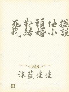 死对头他总想和我结婚小说