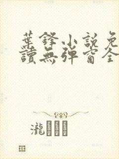 叶锋小说免费阅读无弹窗全文