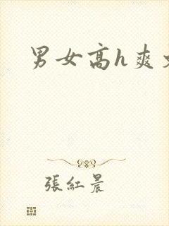 男女高h爽文封面
