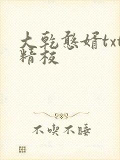 大乾憨婿txt精校