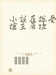 小说在总受文里抢主角攻封面