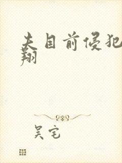 夫目前侵犯西野翔