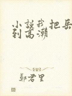 小说我把岳母弄到高潮封面