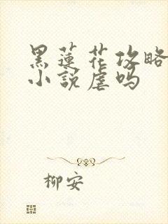 黑莲花攻略手册小说虐吗