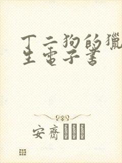 丁二狗的猎艳人生电子书