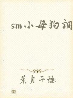 sm小母狗调教