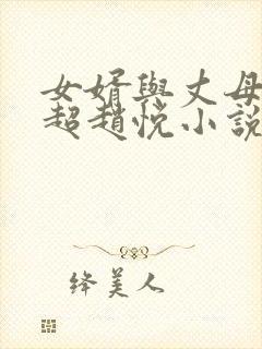 女婿与丈母娘陈超赵悦小说阅读