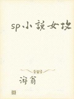 sp小说女攻