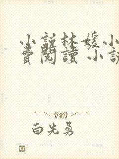 小说林媛小正免费阅读 小说