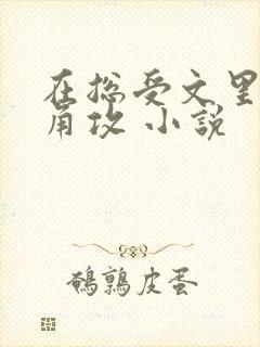 在总受文里抢主角攻 小说