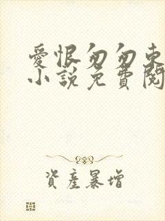 爱恨匆匆东流逝小说免费阅读封面