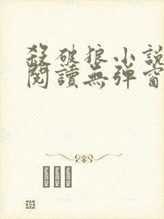 杀破狼小说免费阅读无弹窗封面