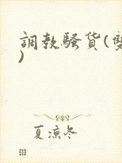 调教骚货(双性)