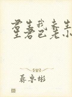 君生我未生,我生君已老小说