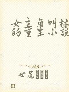 女主角叫林清婉的重生小说