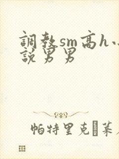 调教sm高h小说男男