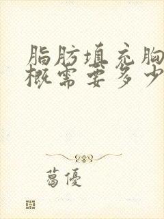 脂肪填充胸部大概需要多少钱