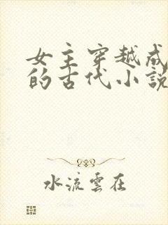 女主穿越成外室的古代小说