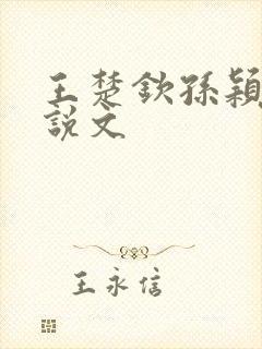 王楚钦孙颖莎小说文