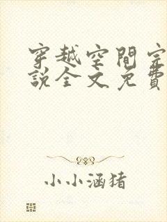 穿越空间完结小说全文免费阅读封面