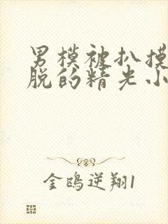 男模被扒摸jj脱的精光小说