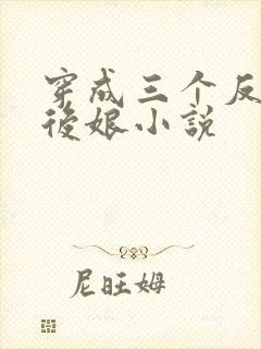 穿成三个反派的后娘小说