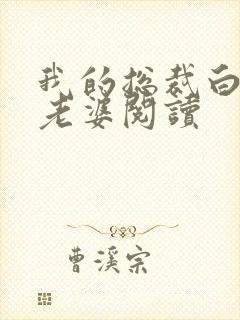 我的总裁白富美老婆阅读