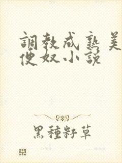 调教成熟美妇肉便奴小说