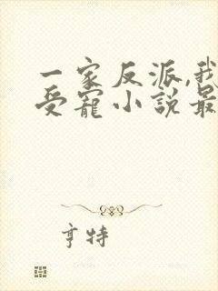 一家反派,我最受宠小说最新章节