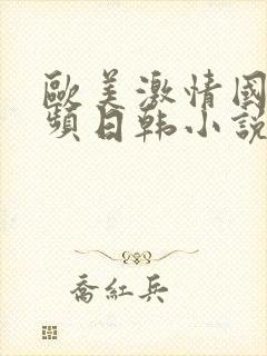 欧美激情国产视频日韩小说