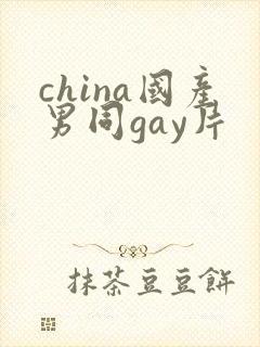china国产男同gay片
