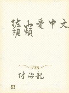 佐山爱中文字幕视频