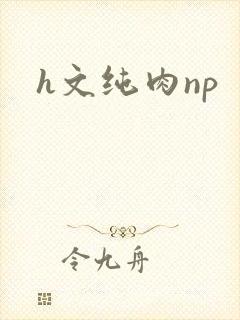 h文纯肉np