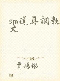 sm道具调教男文