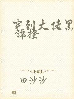 穿到大佬黑化前 锦橙封面