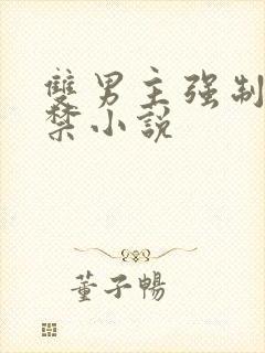 双男主强制爱囚禁小说