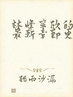 林峰宁欣的小说最新章节更新封面