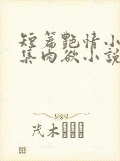 短篇艳情小说合集肉欲小说