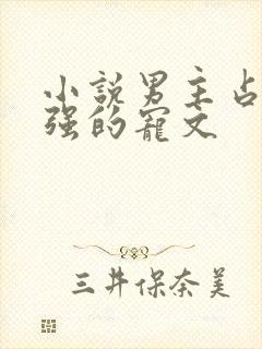 小说男主占有欲强的宠文