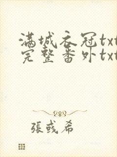 满城衣冠txt完整番外txt