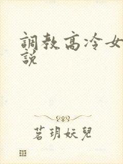 调教高冷女神小说