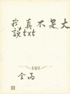 我真不是大佬小说txt